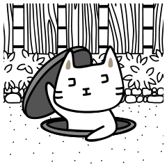 cocoanyan's daily life