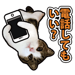 Tetsuro sticker for everyday life