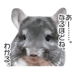 chinchilla's cute sticker vol.2