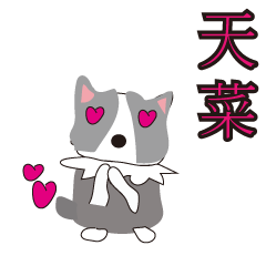 Sweet baby (border collie and rabbit)