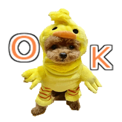 till dog be healed 2