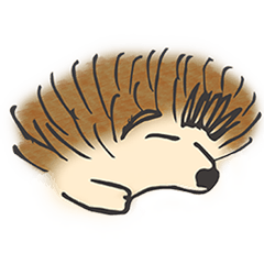 Sweetie Hedgehog
