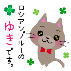 Lovely Russian Blue cat