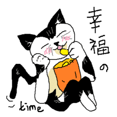 Sesame cat thinking time