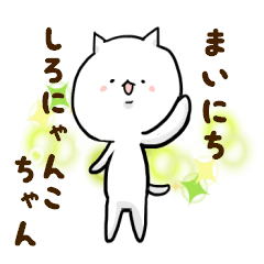 every day whiteCatchan