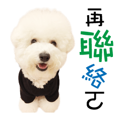 "Honey" raised the lovely little dog