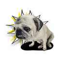 Lovely Pug Stickers global(animation)