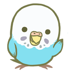 Honorific Ms.Seiko of the budgerigar