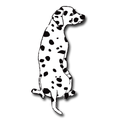 Dalmatian and DARUMAtian