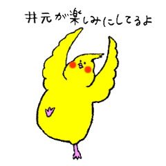 Cockatiel's name is Imoto