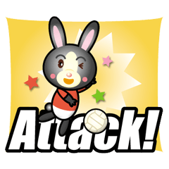 the black rabbit play volleyball