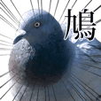 動く！野生の鳩(リアル) - クリエイターズスタンプ