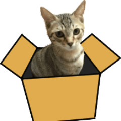 Lineアニメーションスタンプ 動くスタンプ 猫 検索結果 Lineアニメーションスタンプ 動くスタンプ 猫 検索結果