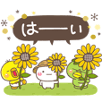 大人の親切で丁寧な言葉【夏】 | LINE STORE