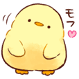 もふピヨ - クリエイターズスタンプ